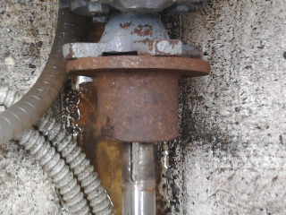 [Immagine: 2011328211516_Foto0664.jpg]